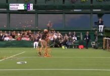Sensacja na Wimbledonie. Członkowie organizacji Just Stop Oil wdarli się na kort