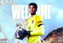 Klub Premier League ogłasza transfer jednego z najlepszych bramkarzy A-League