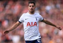 Tottenham wypożyczył skrzydłowego do Championship