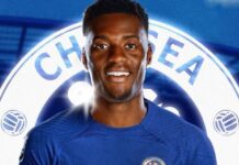 Pierwszy transfer Chelsea za kadencji Enzo Mareski