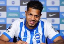Brighton zapewnił sobie najdroższy transfer w historii klubu