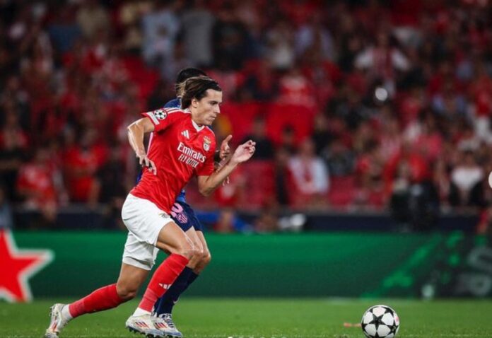 Alvaro-Fernandez1.jpg