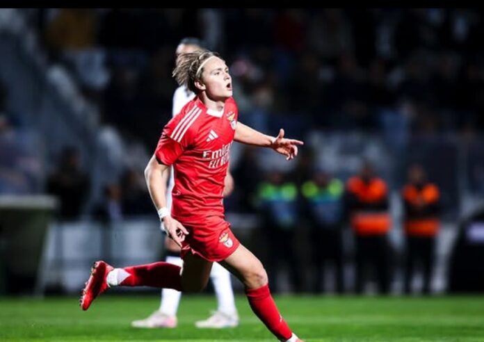 Andreas-Schjelderup.jpg