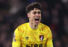 Arsenal ma na oku byłego zwycięzcę Ligi Mistrzów