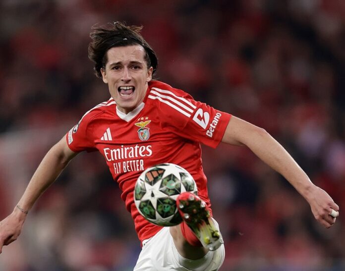 Alvaro-Carreras.jpg