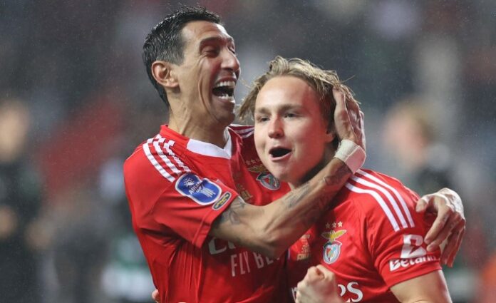 di-maria-schelderup.jpg