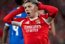 Rewanż w Madrycie bez gwiazdy? Benfica składa skargę i liczy na cud