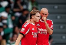 Tottenham zaoferował 55 milionów euro za Andreasa Schjelderupa