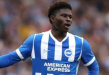 Brighton traci kluczowego zawodnika tuż przed startem sezonu