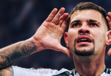 Newcastle znalazło godnego zastępcę Bruno Guimaraesa